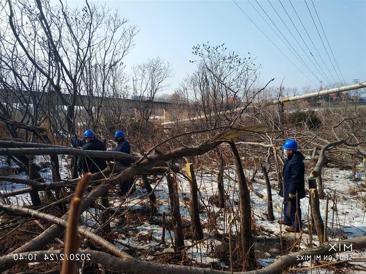 清障除隐患  线路保畅通